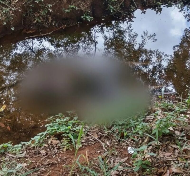 Corpo é encontrado no Jardim Botânico em Goiânia